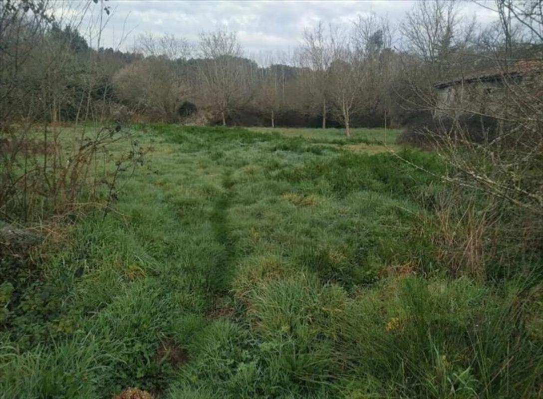 Terreno en venta en A Peroxa, Ourense photo 4