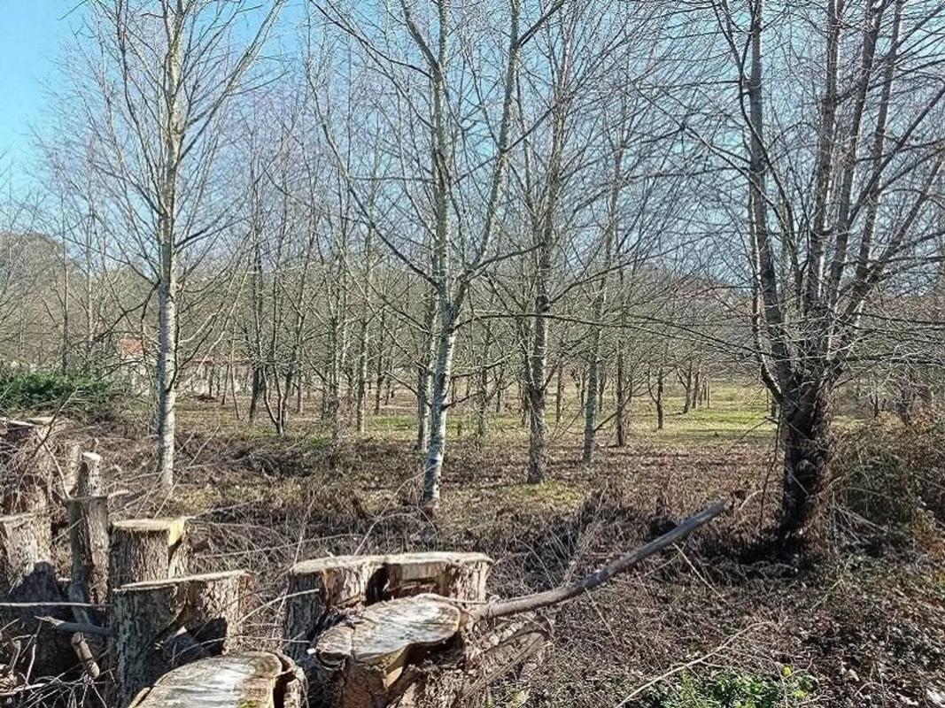 Terreno en venta en Pereiro de Aguiar, Ourense photo 5