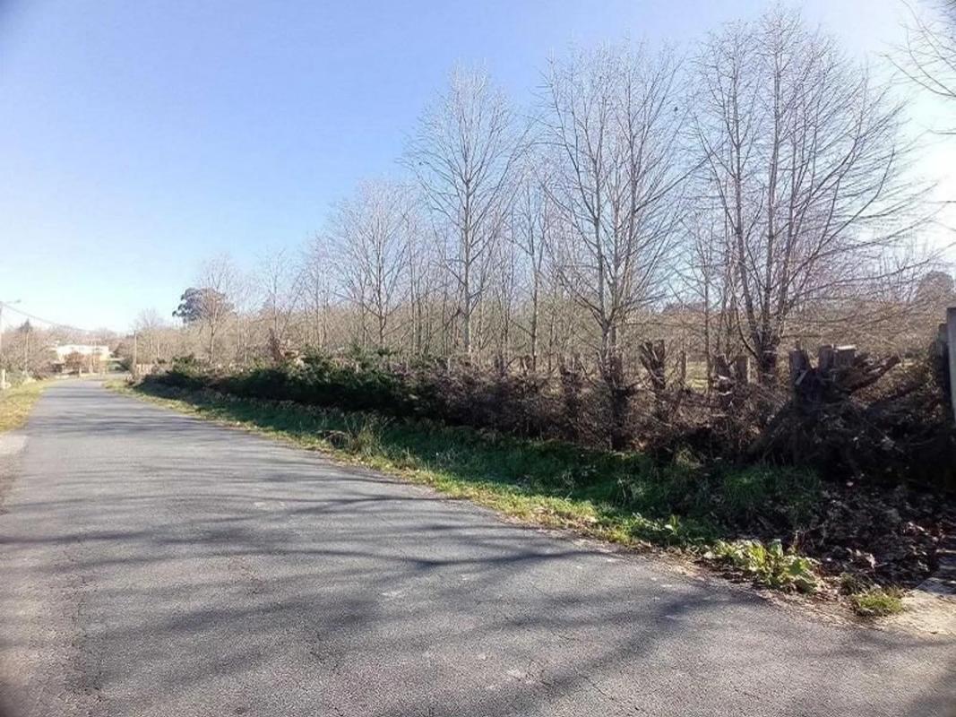 Terreno en venta en Pereiro de Aguiar, Ourense photo 5