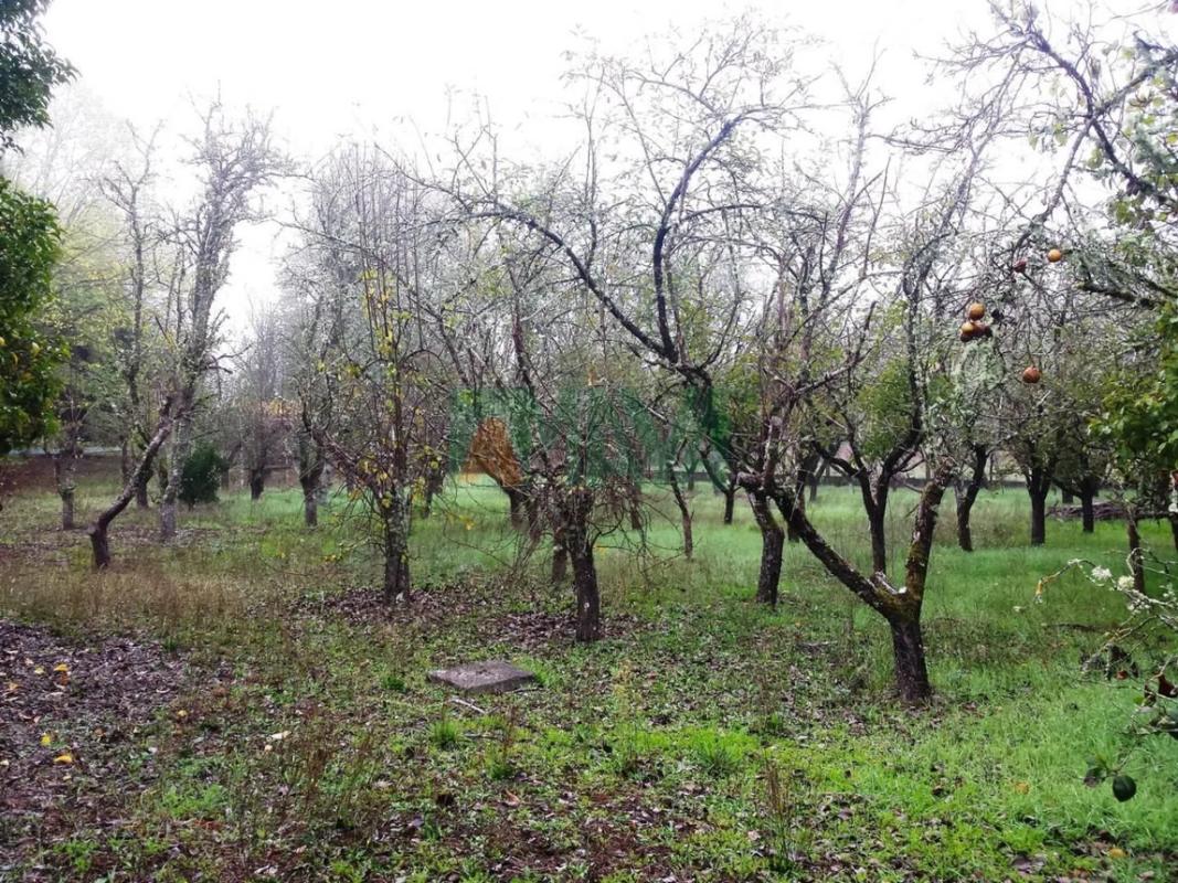 Terreno en venta en Pereiro de Aguiar, Ourense photo 1