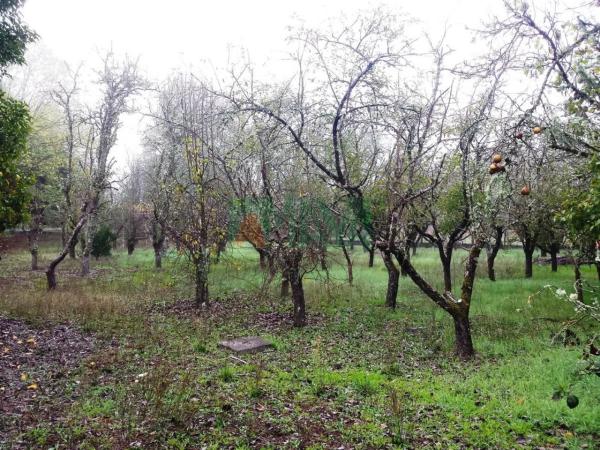 Terreno en Pereiro de Aguiar photo 1