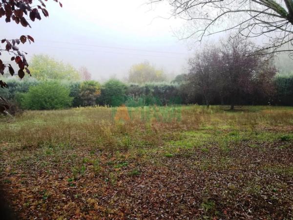 Terreno en Pereiro de Aguiar thumbnail 1