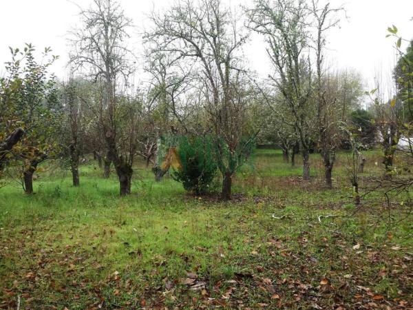 Terreno en Pereiro de Aguiar thumbnail 2