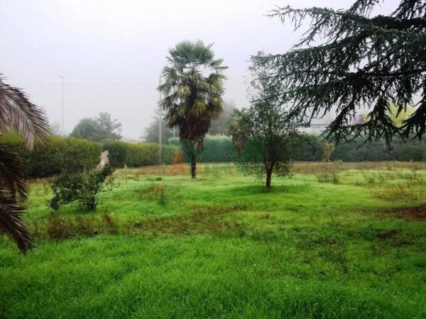 Terreno en Pereiro de Aguiar photo 4