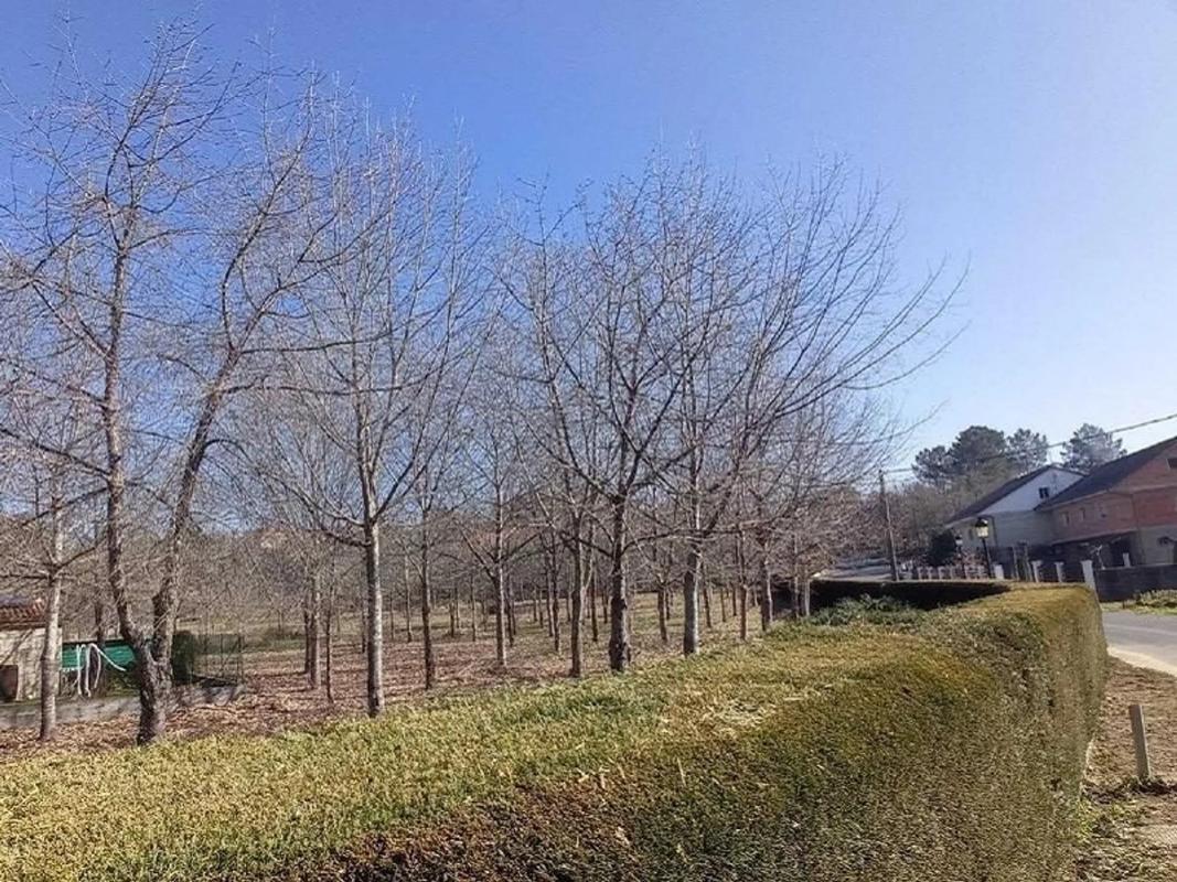Terreno en venta en Pereiro de Aguiar, Ourense photo 3