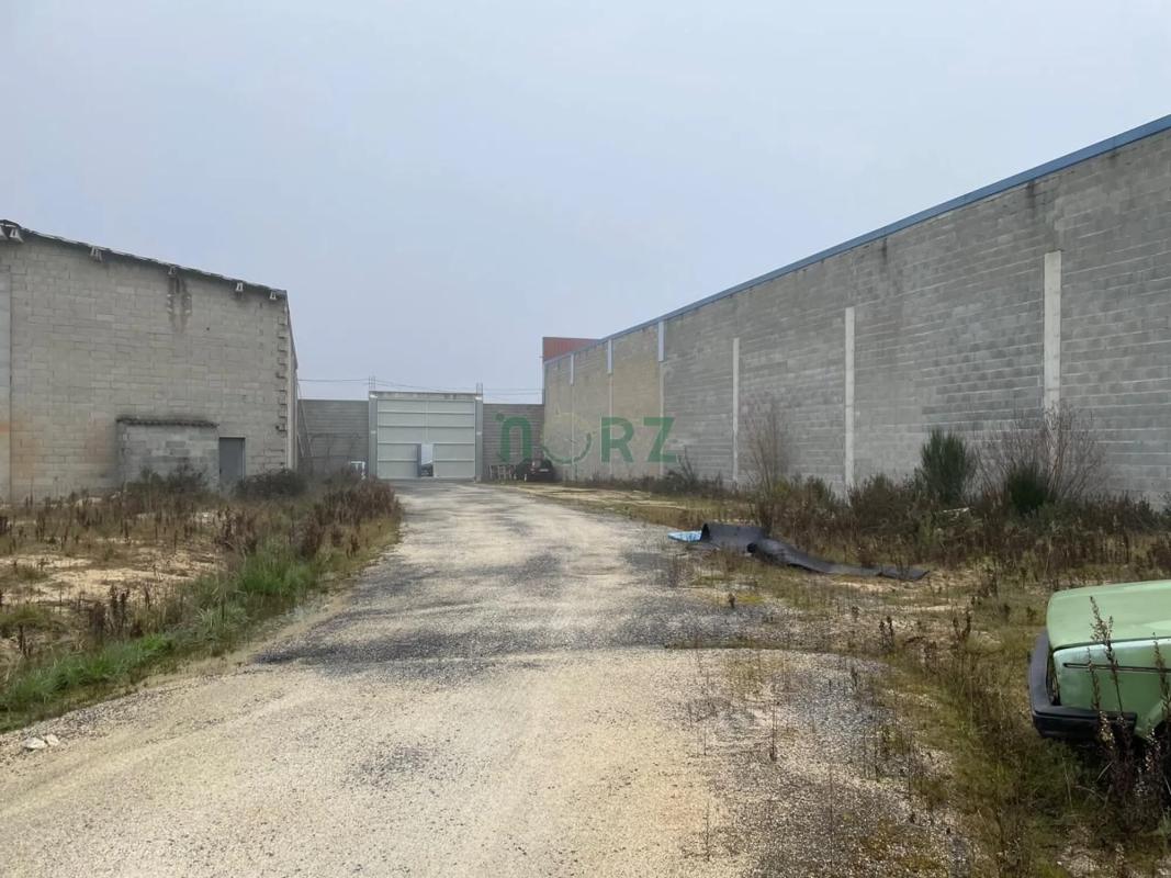 Land for sale in San Cibrao das Viñas, Ourense photo 1