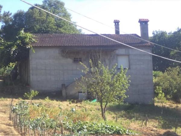 Terreno en camino o Cirro s/n photo 1