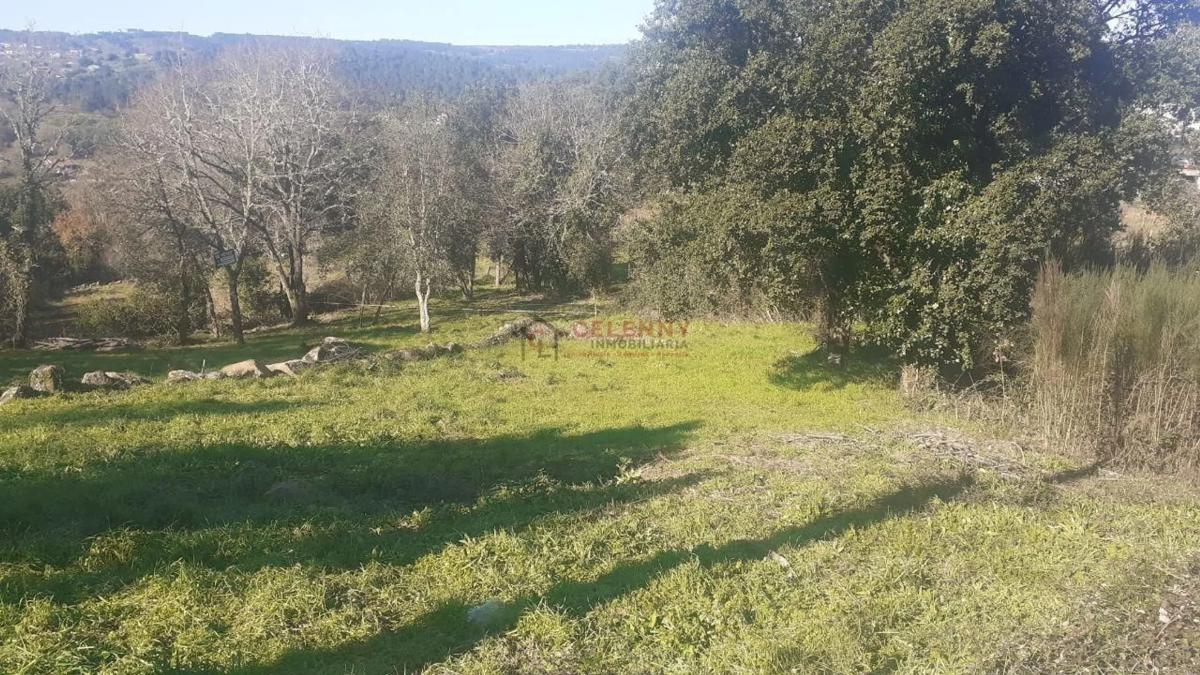 Terreno en venta en San Cibrao das Viñas, Ourense photo 1