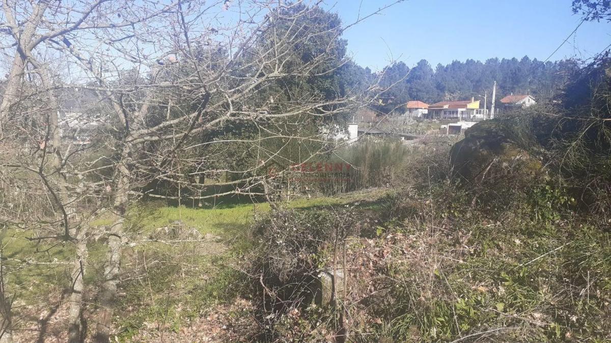 Terreno en venta en San Cibrao das Viñas, Ourense photo 2