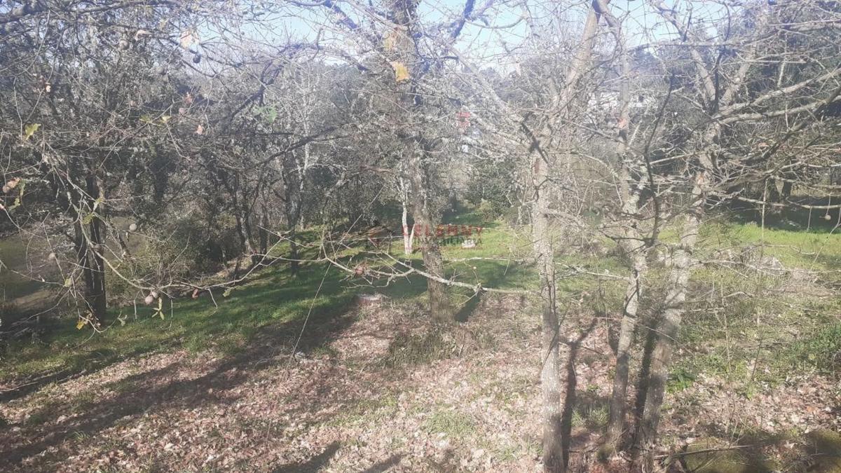 Terreno en venta en San Cibrao das Viñas, Ourense photo 3