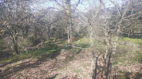 Terreno en San Cibrao das Viñas thumbnail 2