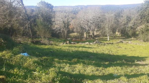 Terreno en San Cibrao das Viñas photo 4