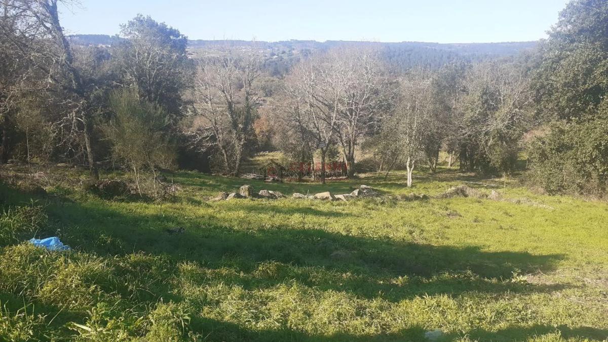 Terreno en venta en San Cibrao das Viñas, Ourense photo 5