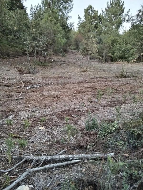 Terreno en venta en Ourense, Ourense photo 1