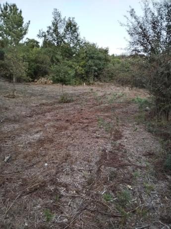 Terreno en As Curuxeiras s/n photo 2