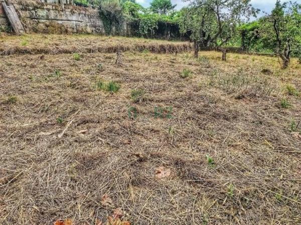Terreno en As Lagunas photo 3