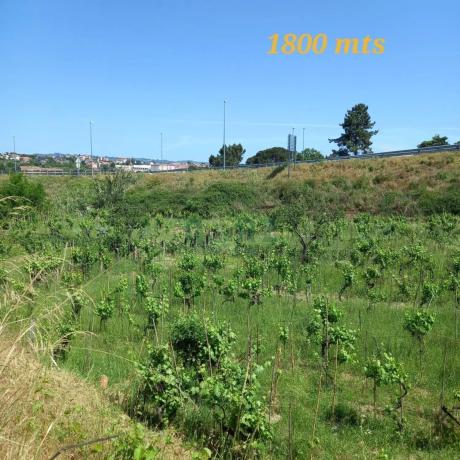 Terreno en calle Fonsillón photo 3