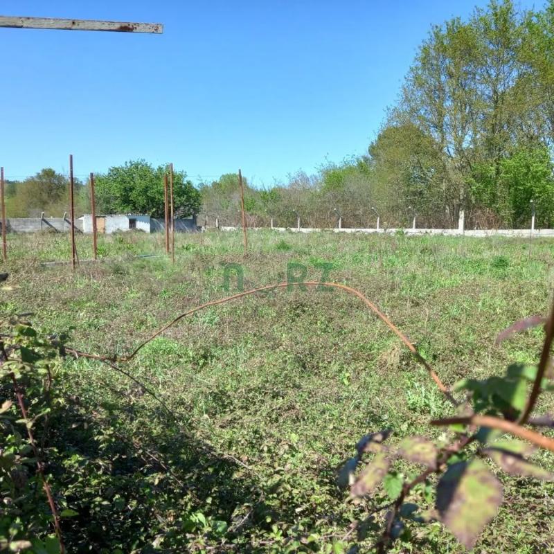 Terreno en venta en Pereiro de Aguiar, Ourense photo 5