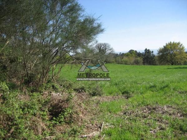 Terreno en Vilamarin photo 1