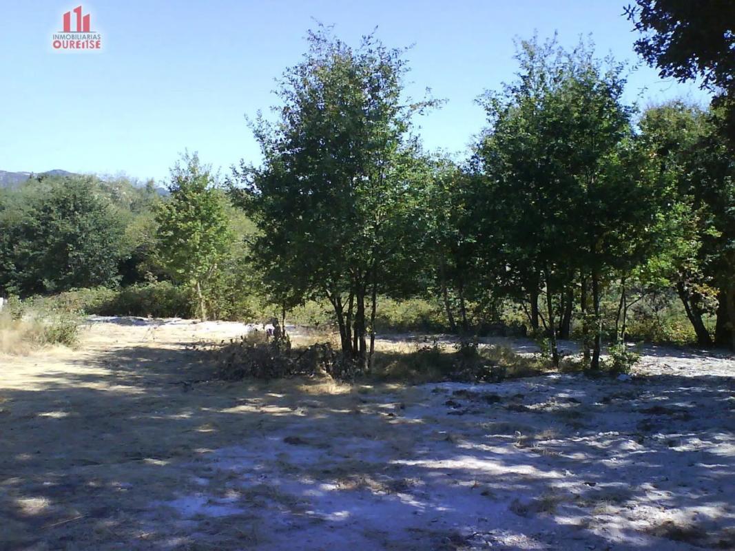Terreno en venta en Nogueira de Ramuin, Ourense photo 3