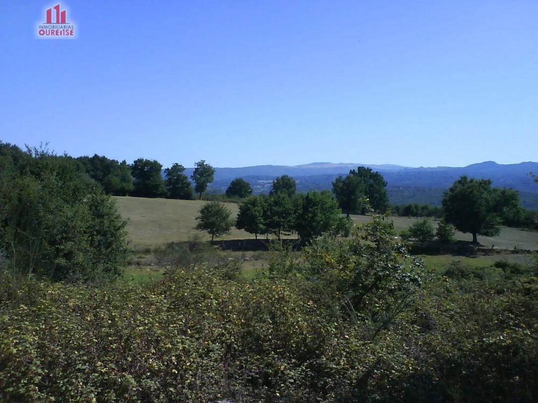 Terreno en venta en Nogueira de Ramuin, Ourense photo 5