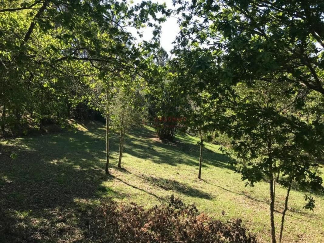 Działka na sprzedaż w Pereiro de Aguiar, Ourense photo 3