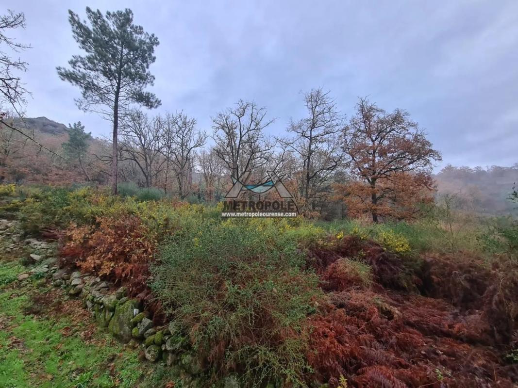Terreno en venta en Ourense, Ourense photo 1
