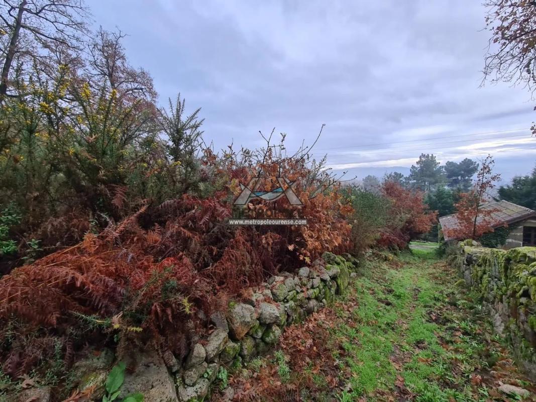 Terreno en venta en Ourense, Ourense photo 3
