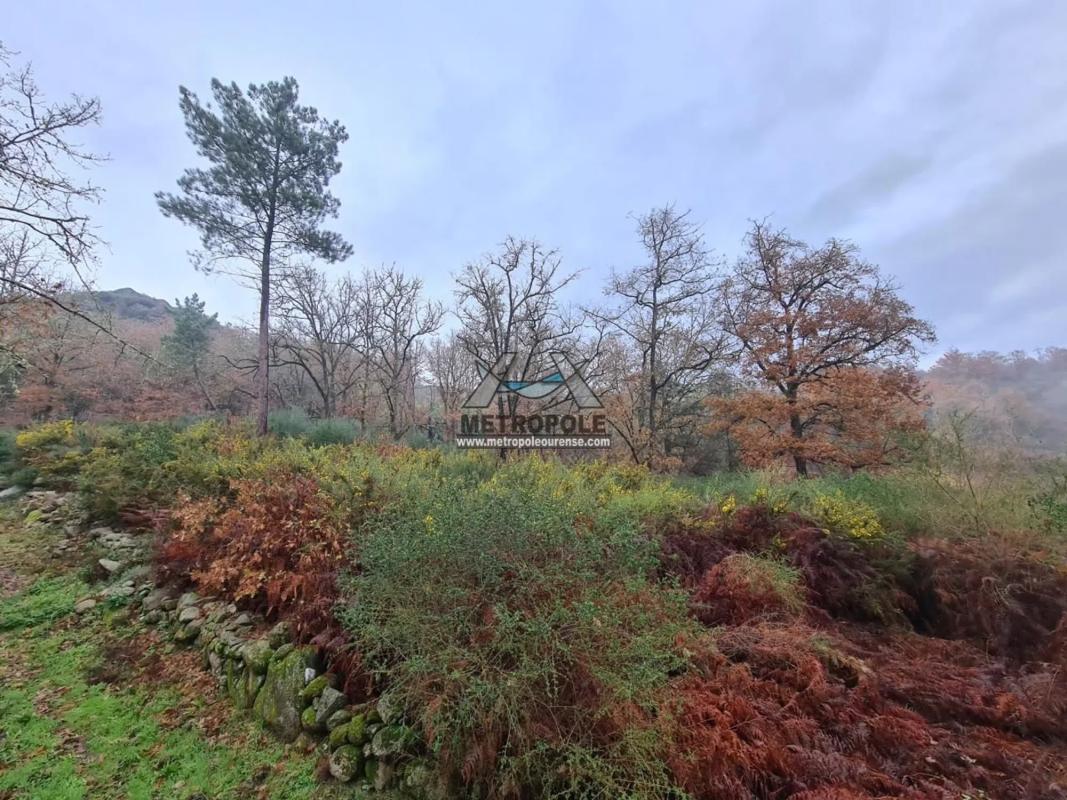 Terreno en venta en Ourense, Ourense photo 4