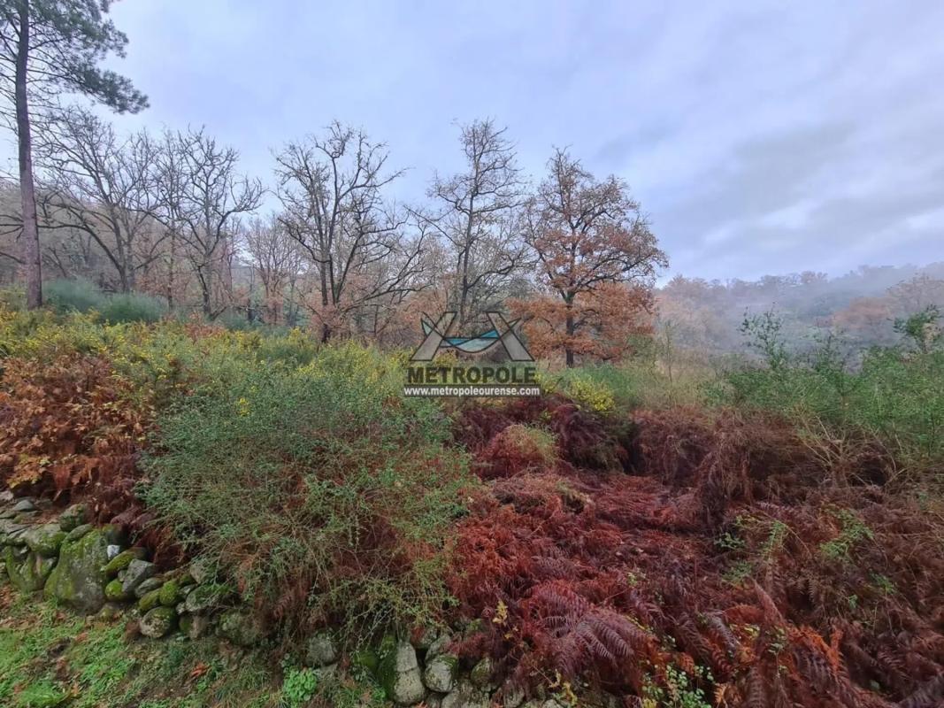 Terreno en venta en Ourense, Ourense photo 5