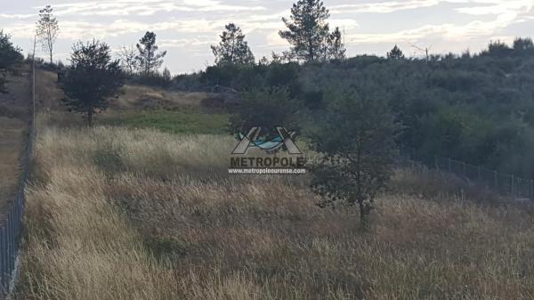 Terreno en Coles photo 2