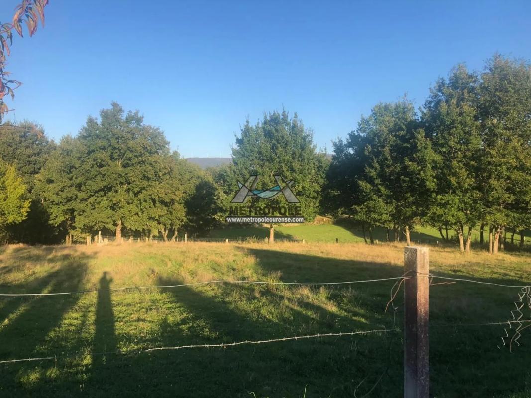 Terreno en venta en Nogueira de Ramuin, Ourense photo 2