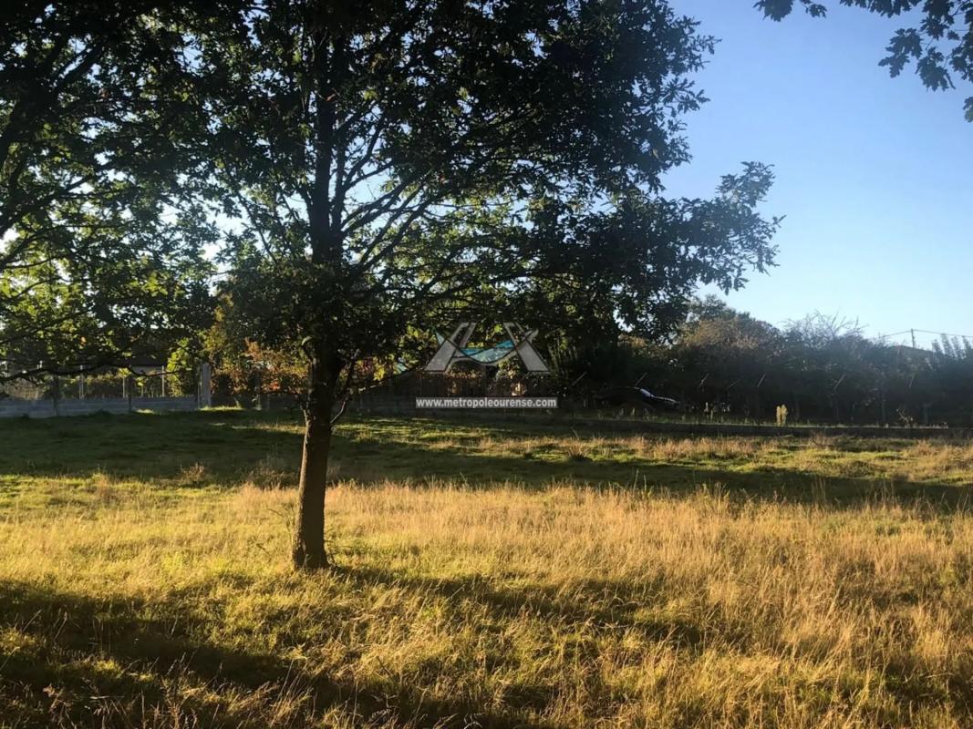 Terreno en venta en Nogueira de Ramuin, Ourense photo 3