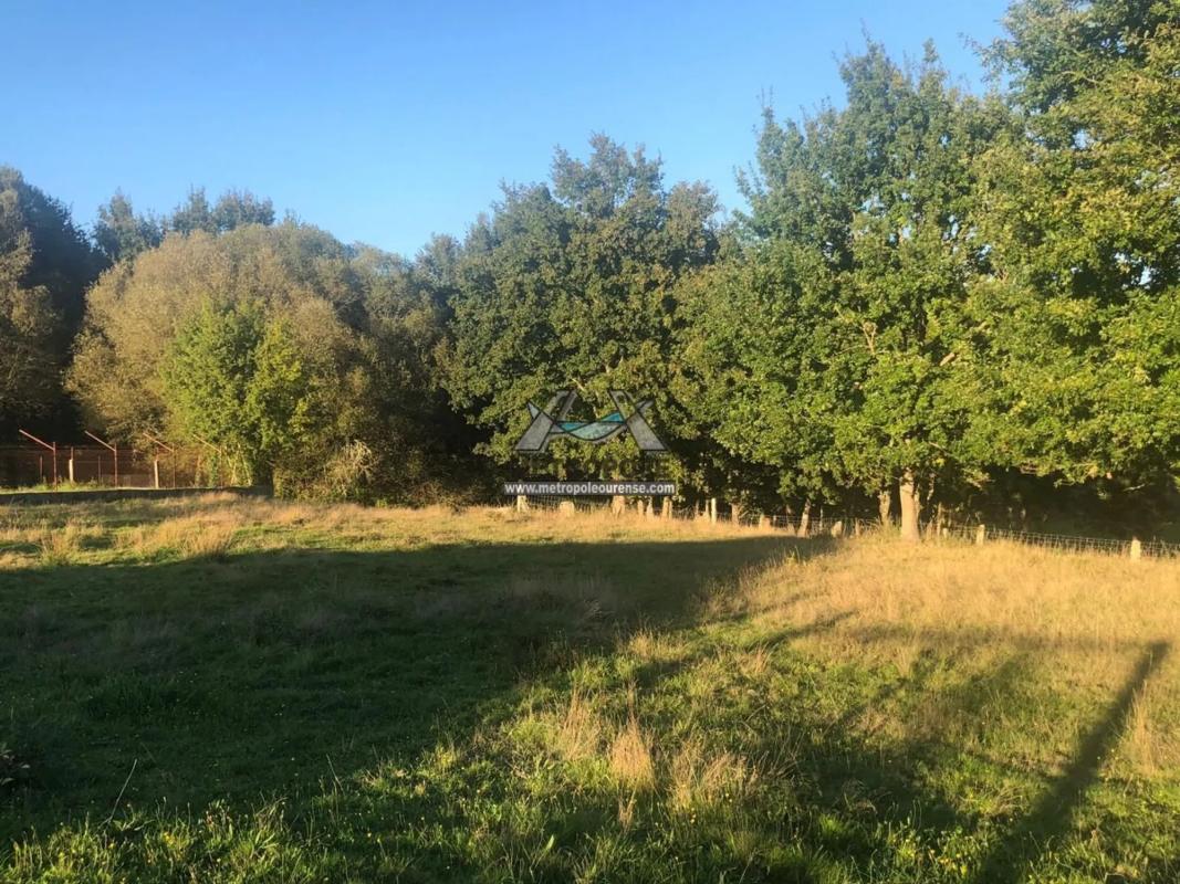 Terreno en venta en Nogueira de Ramuin, Ourense photo 4
