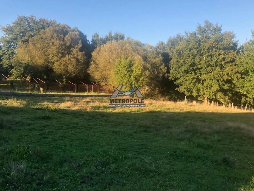 Terreno en venta en Nogueira de Ramuin, Ourense photo 5