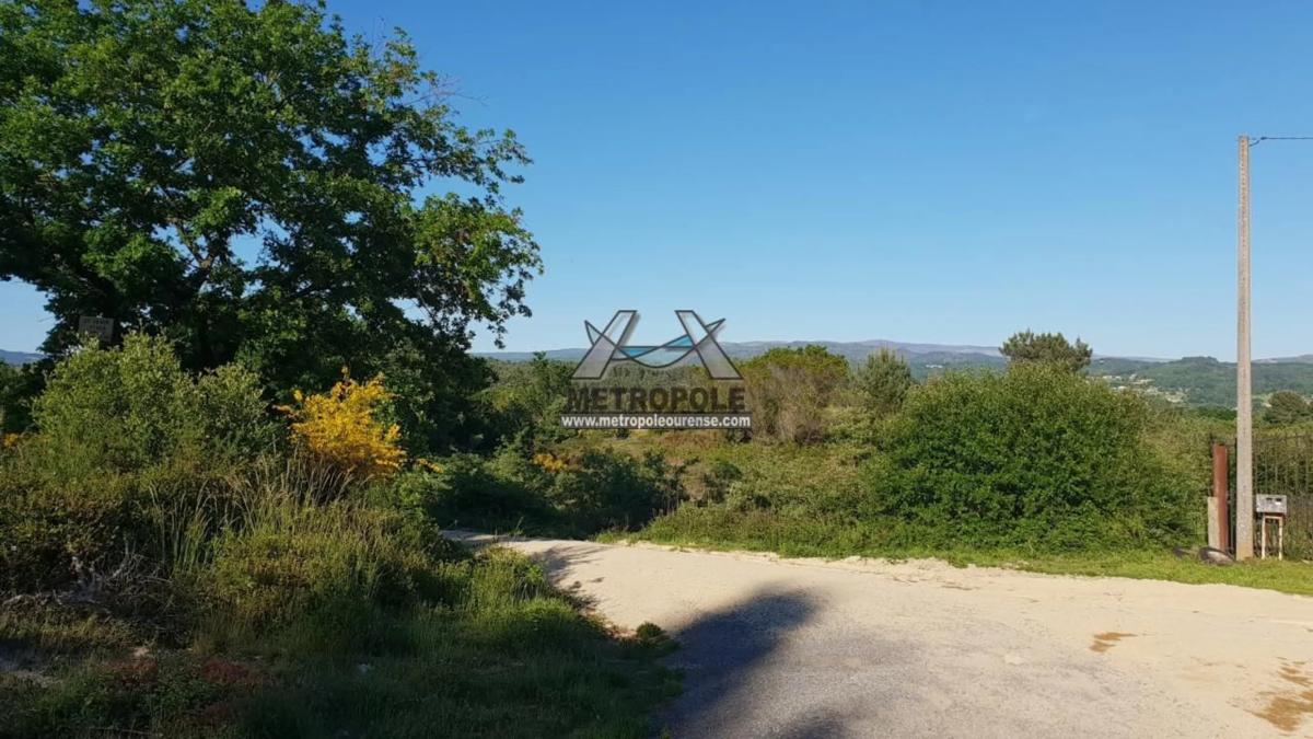 Terreno en venta en Pereiro de Aguiar, Ourense photo 1