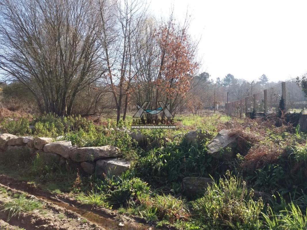 Terreno en venta en Toén, Ourense photo 1