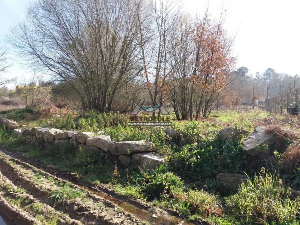 Terreno en Toén photo 3
