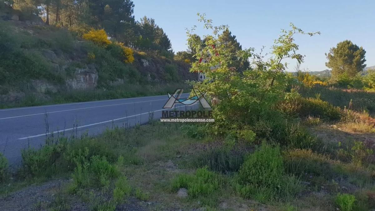 Terreno en venta en Pereiro de Aguiar, Ourense photo 3