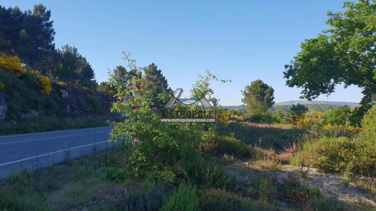 Terreno en venta en Pereiro de Aguiar, Ourense photo 4