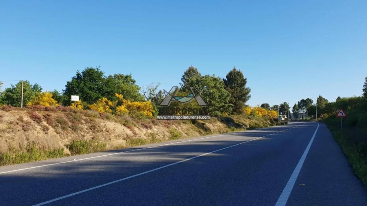 Terreno en venta en Pereiro de Aguiar, Ourense photo 5