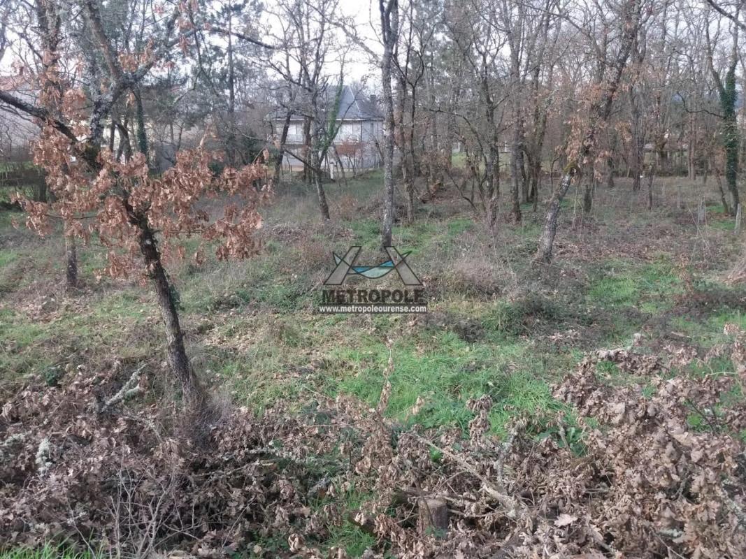 Terreno en venta en San Cibrao das Viñas, Ourense photo 1