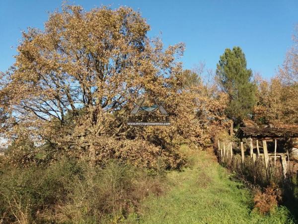 Terreno en San Cibrao das Viñas photo 2