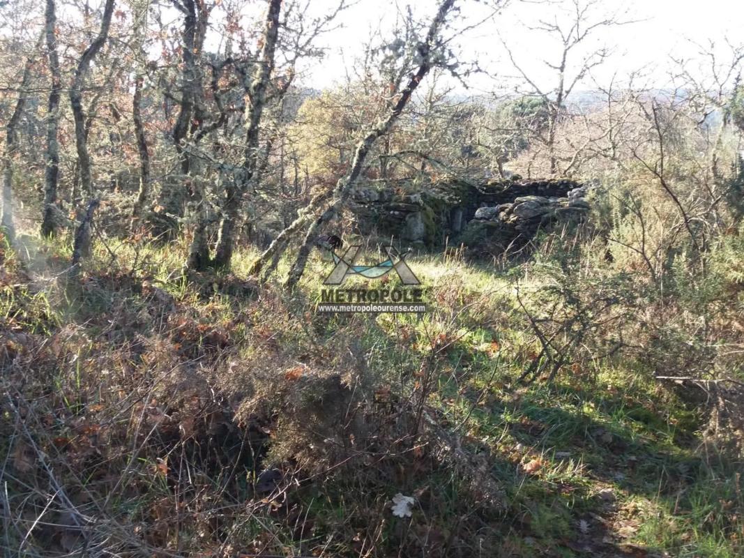 Terreno en venta en San Cibrao das Viñas, Ourense photo 4