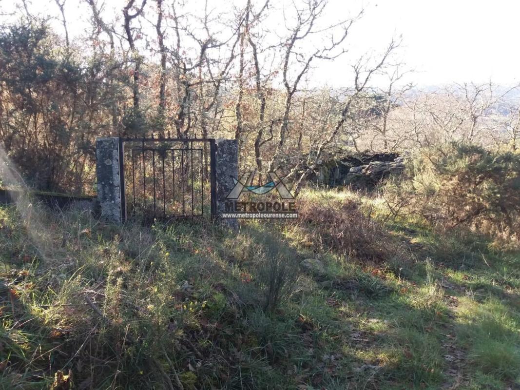 Terreno en venta en San Cibrao das Viñas, Ourense photo 5
