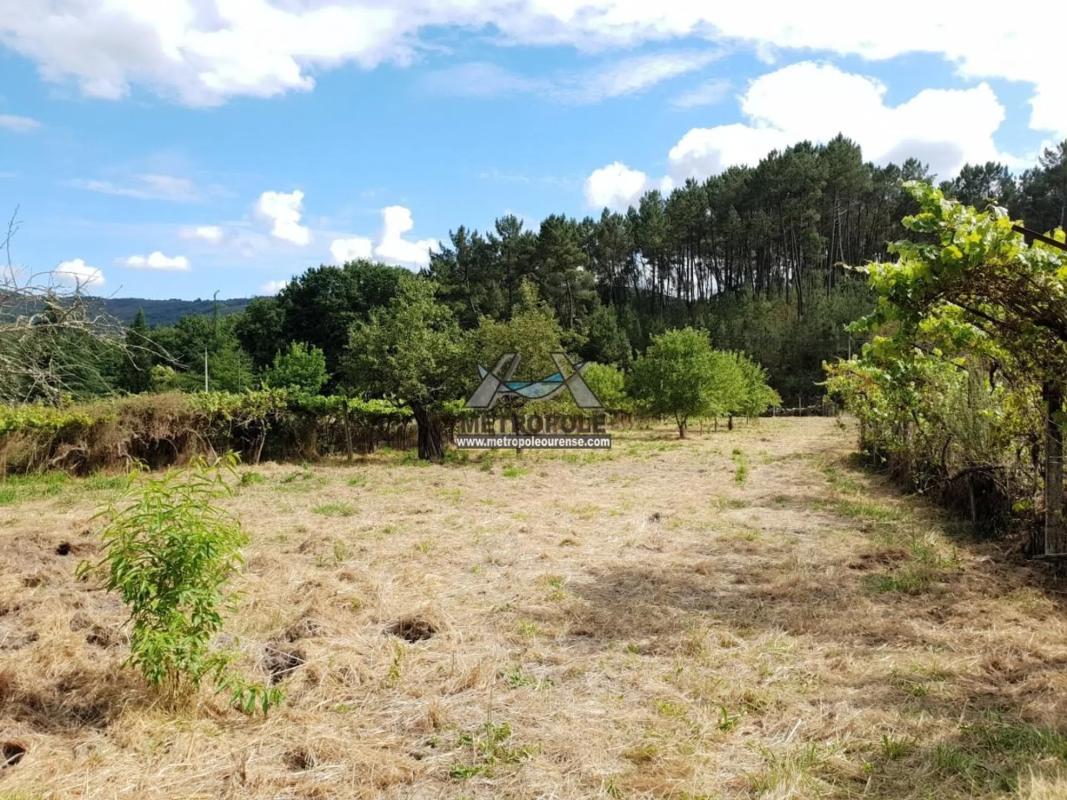 Terreno en venta en Coles, Ourense photo 3