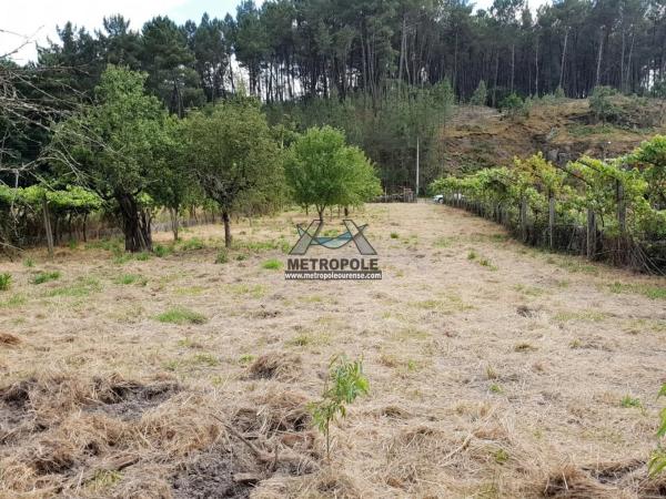 Terreno en Coles photo 4
