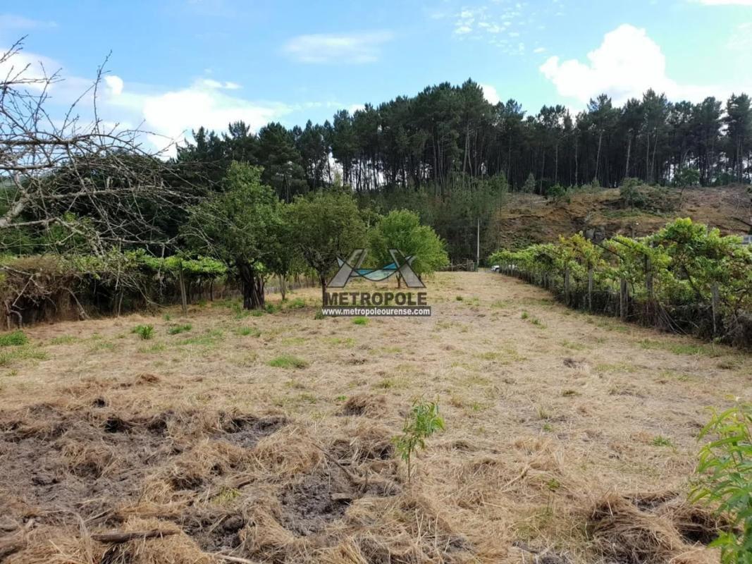 Terreno en venta en Coles, Ourense photo 5