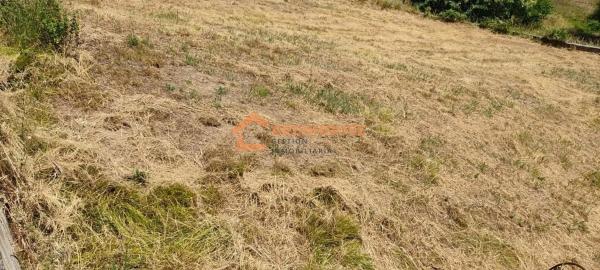 Terreno en Coles photo 2