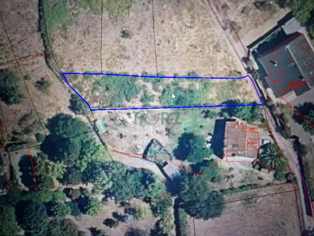 Land for sale in Pereiro de Aguiar, Ourense photo 1